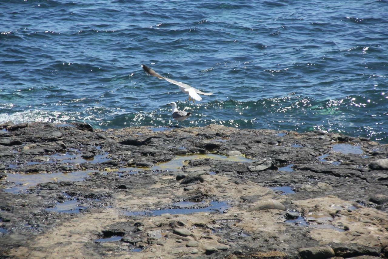 Seagull Estudios Pozo Izquierdo エクステリア 写真